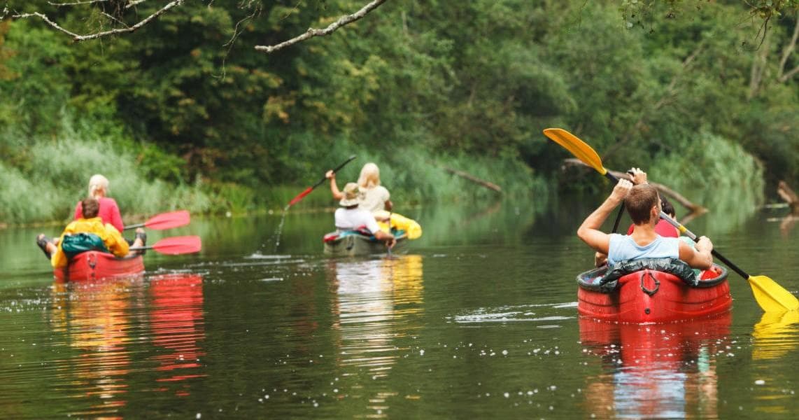 Paddle Sarasota Bay with Ultimate Kayak SRQ Rentals