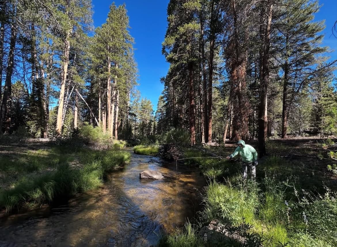 Seven Days Chasing Golden Trout in the High Sierra photo 2