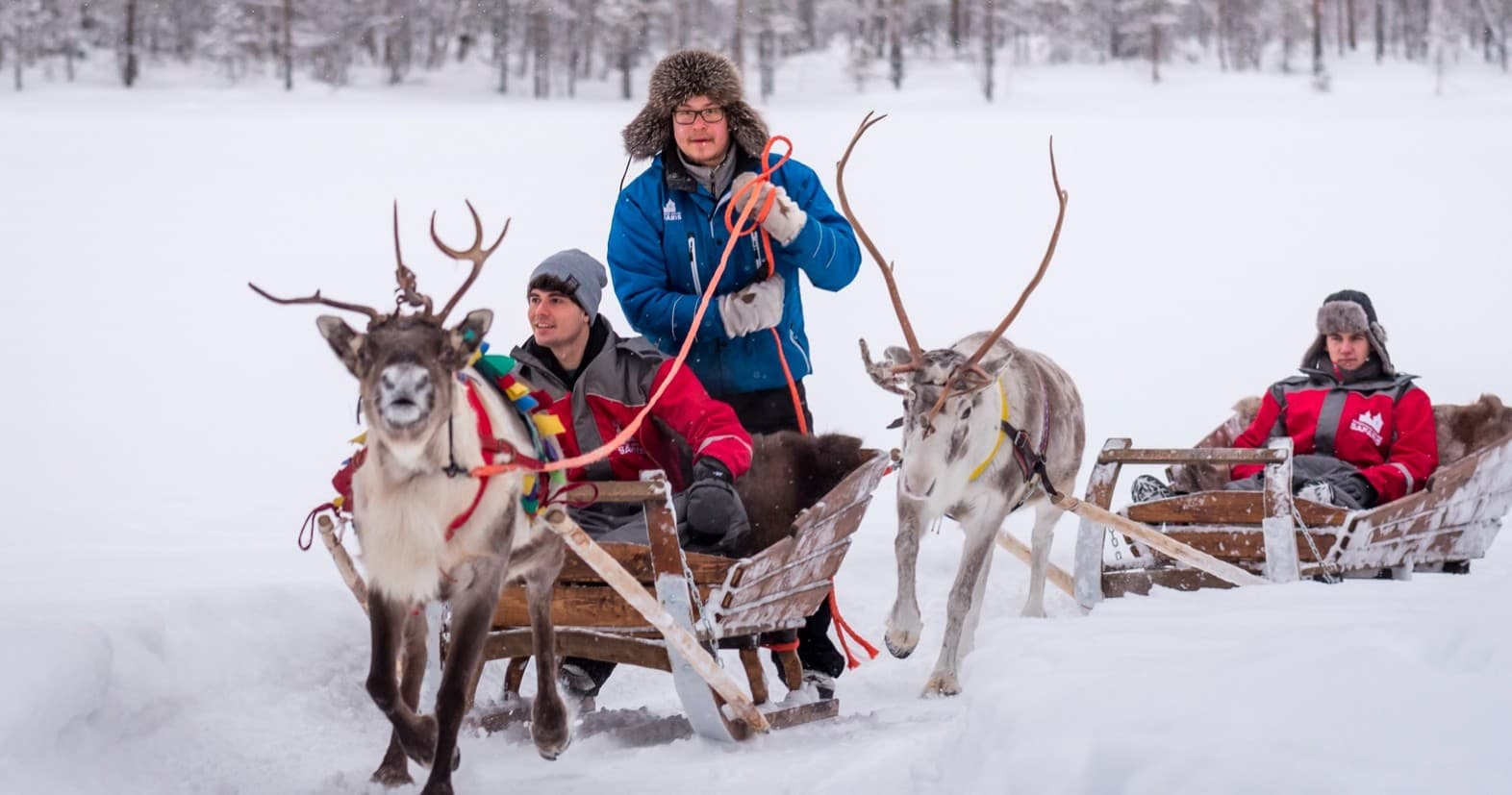 Reindeer Sled Ride in Lapland | Santa Claus Holiday Village
