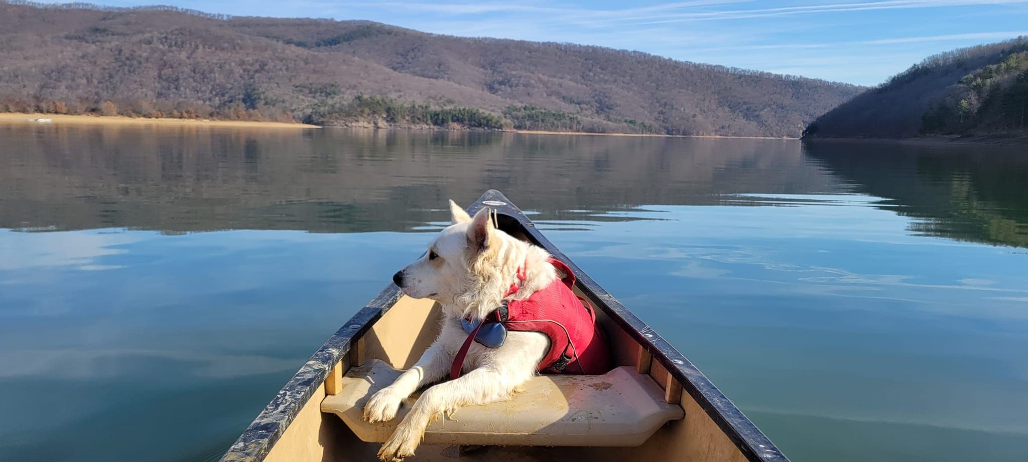 Explore Lake Moomaw Camping: Virginia’s Premier Paddle and Primitive Camp Experience