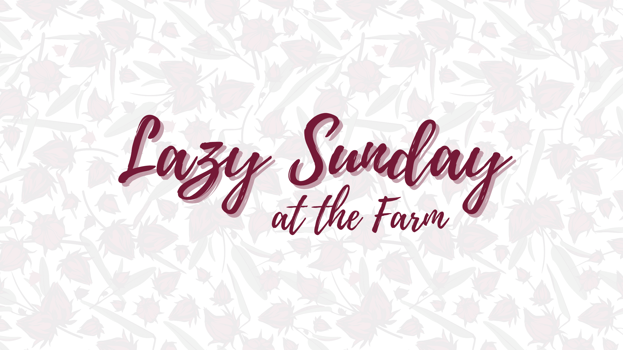 Lazy Sunday at Petersen's Farm: Relax, Explore, and Savor Country Charm in Woolooga