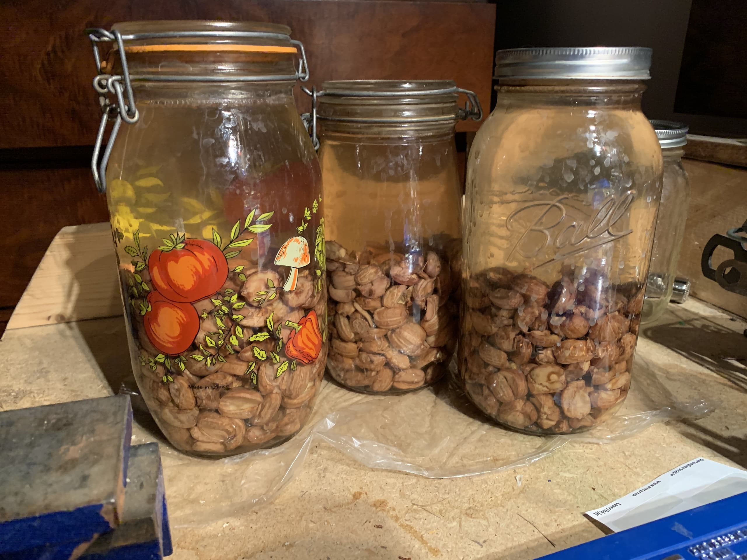 Foraging for Wild Edibles Near Front Royal, VA: A Hands-On Culinary Adventure