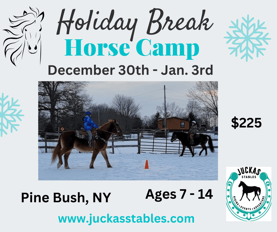 Winter Camp with Juckas Riding Stables in Pine Bush, NY
