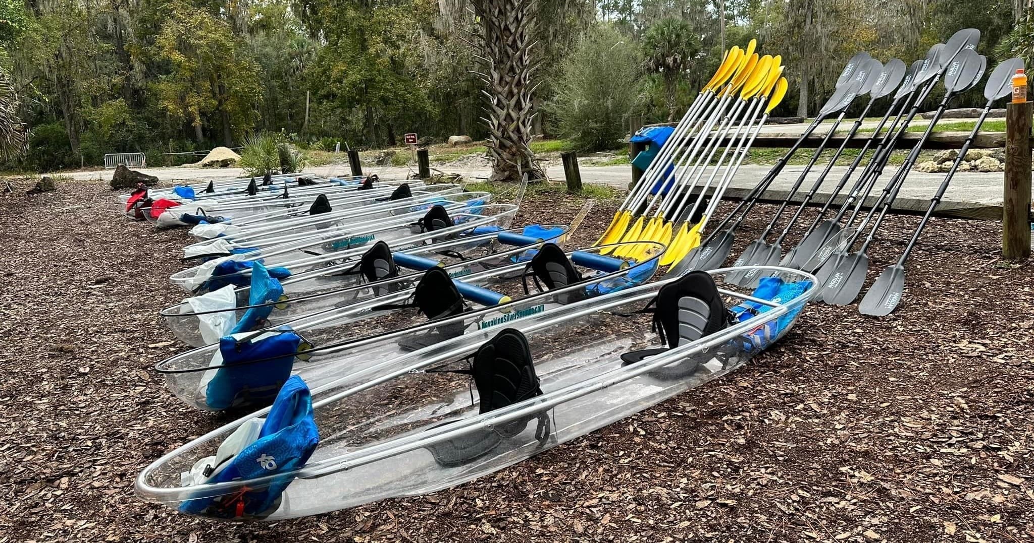 Clear kayaks lined on sandy shore at Florida coastal park