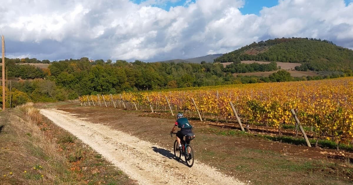 Cycling Tuscany with Florence By Bike Rentals
