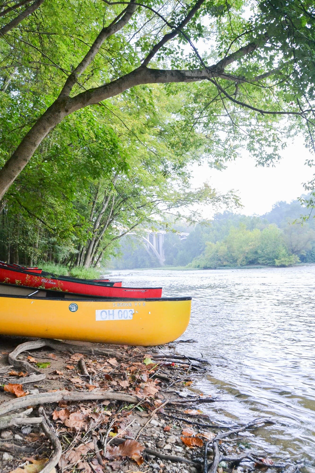 Paddle, Pour, and Dine: Valley Vineyards Canoe Cookout Near South Lebanon photo 1