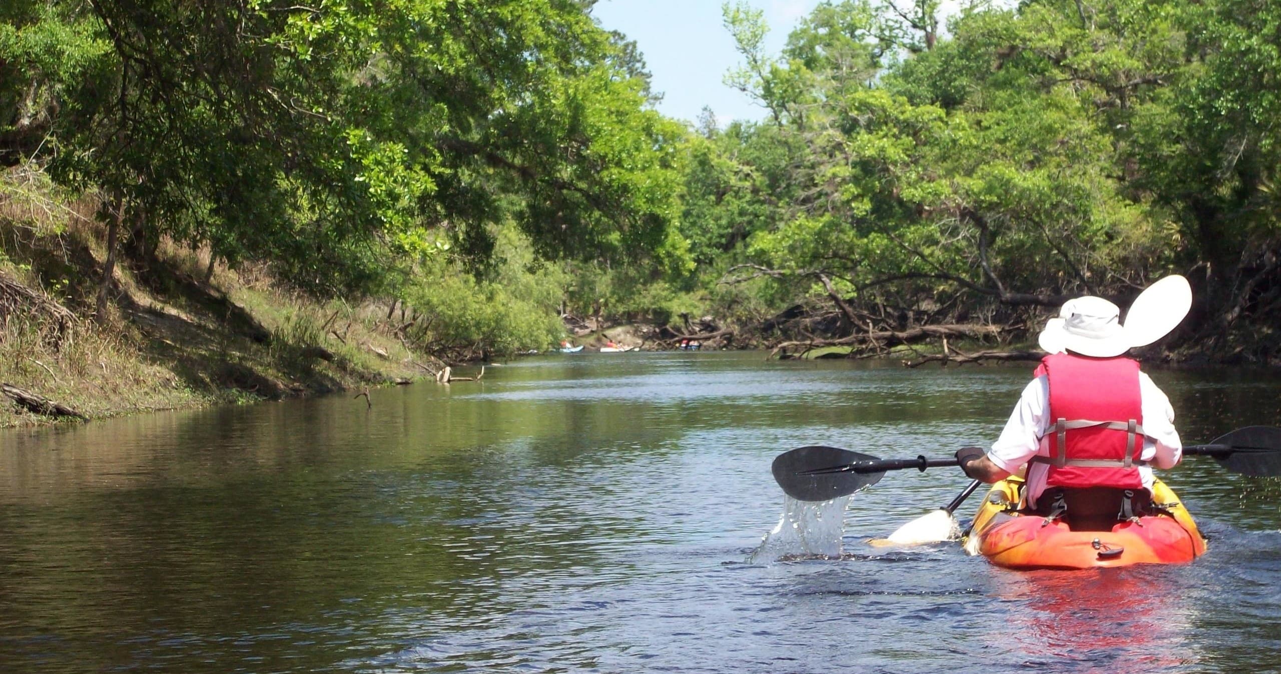 Manatee & Dolphin Kayak Tour with A Day Away Kayak Tours