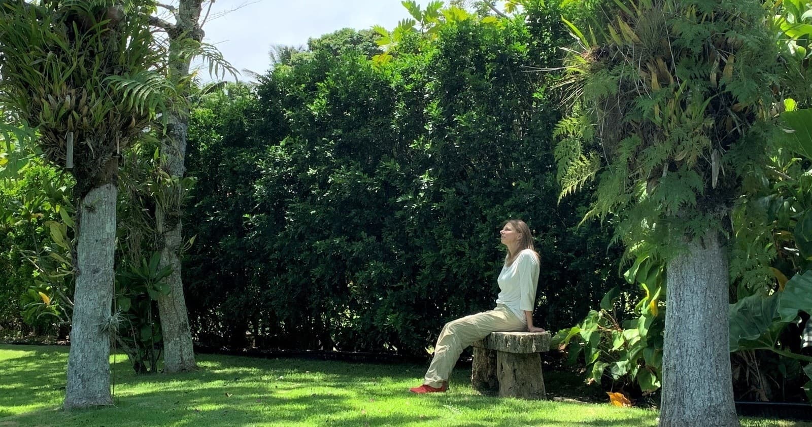 Forest + Sound Bathing at Kahaluʻu Gallery and Gardens — Kaneohe Healing Walk photo 1