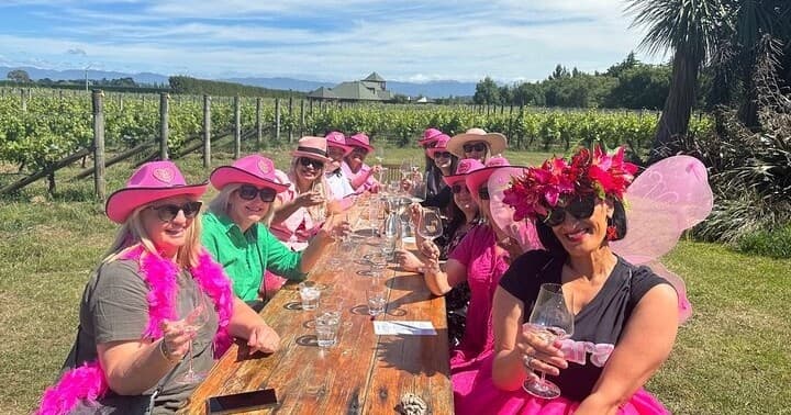Group wine tasting in vineyard under clear sky, outdoor tour
