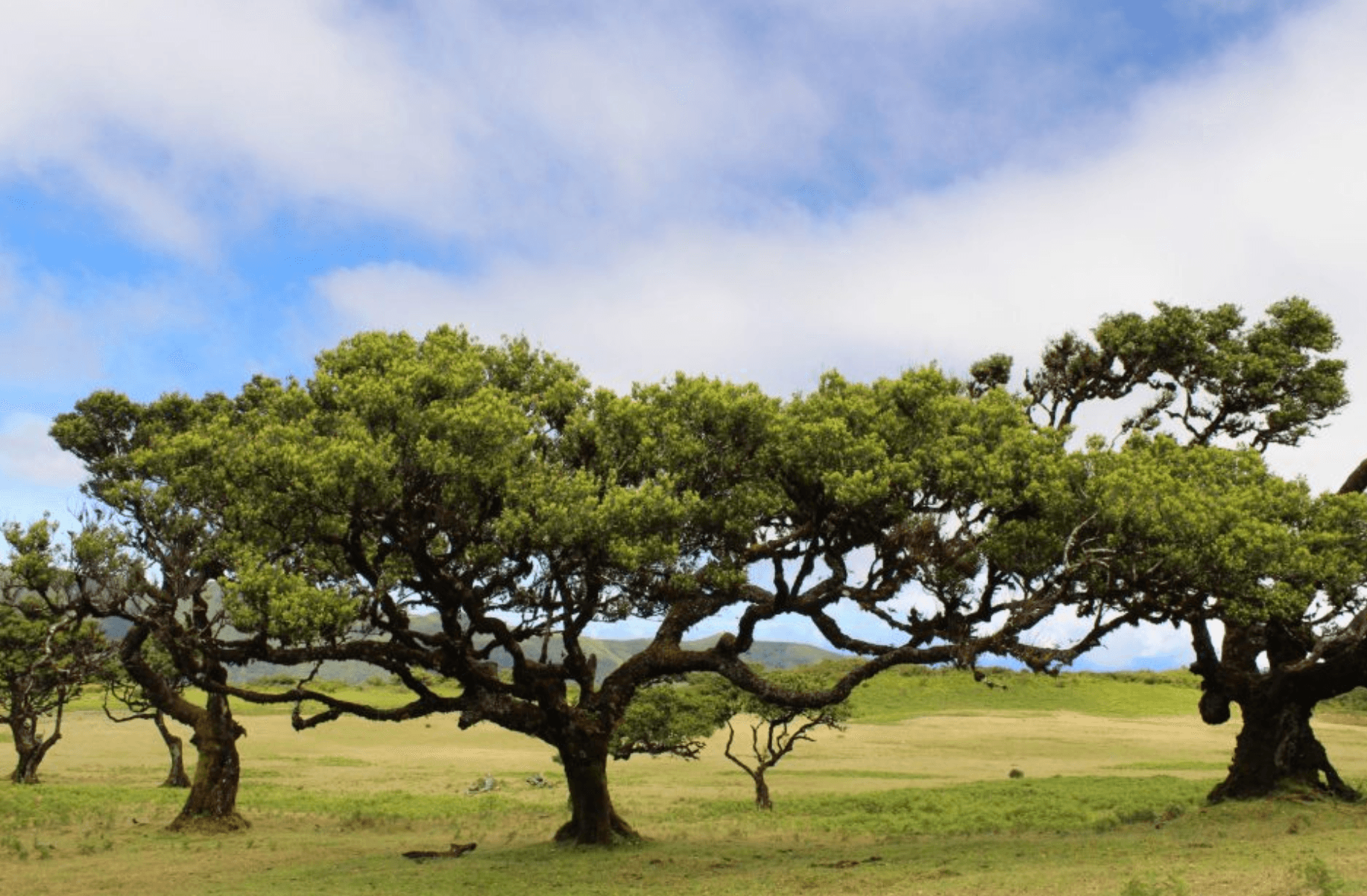 Land Adventures at Vereda with MB Tours