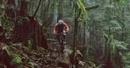 Explore Vancouver on a Private 3-Hour Bike Tour Through Stanley Park and Beyond