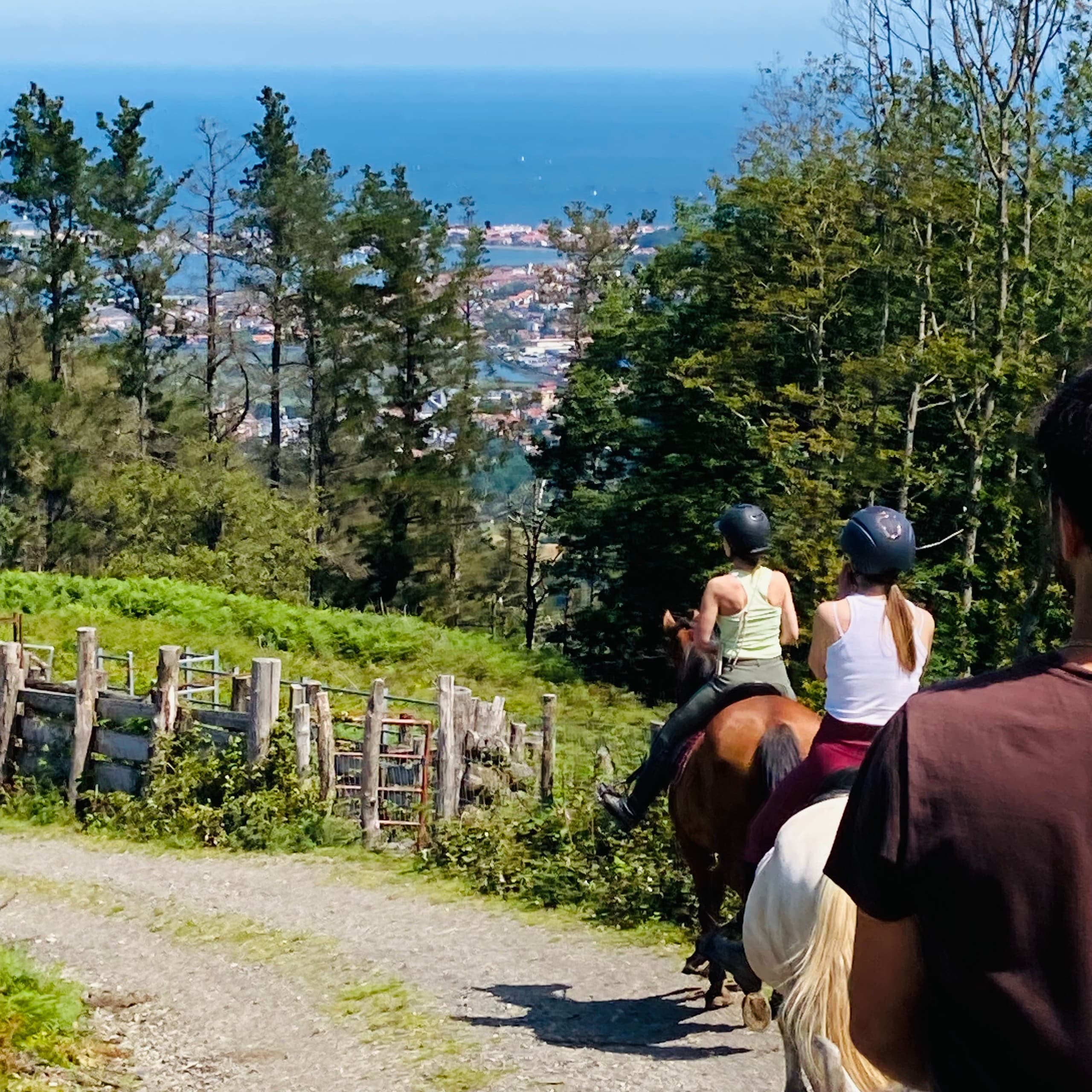 Afternoon Horseback Ride with Snack near San Sebastián: Forest Trails & Basque Countryside photo 1