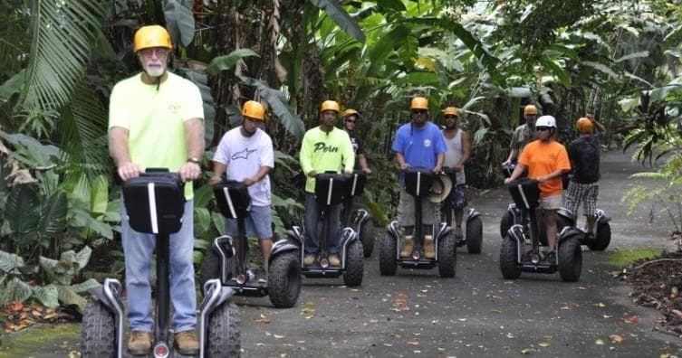 Land Adventures with Botanical World Adventures on Big Island