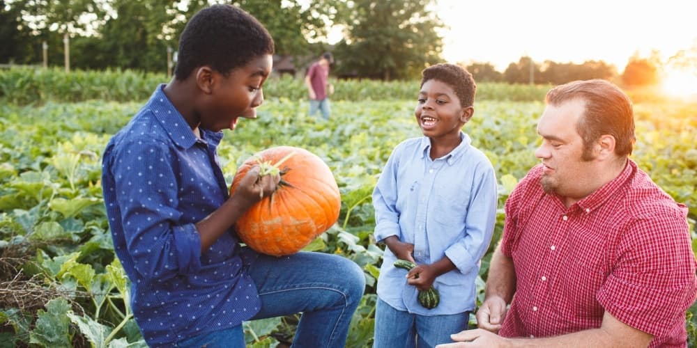 Fall Harvest Hayride & Corn Maze at Johnson's Corner Farm