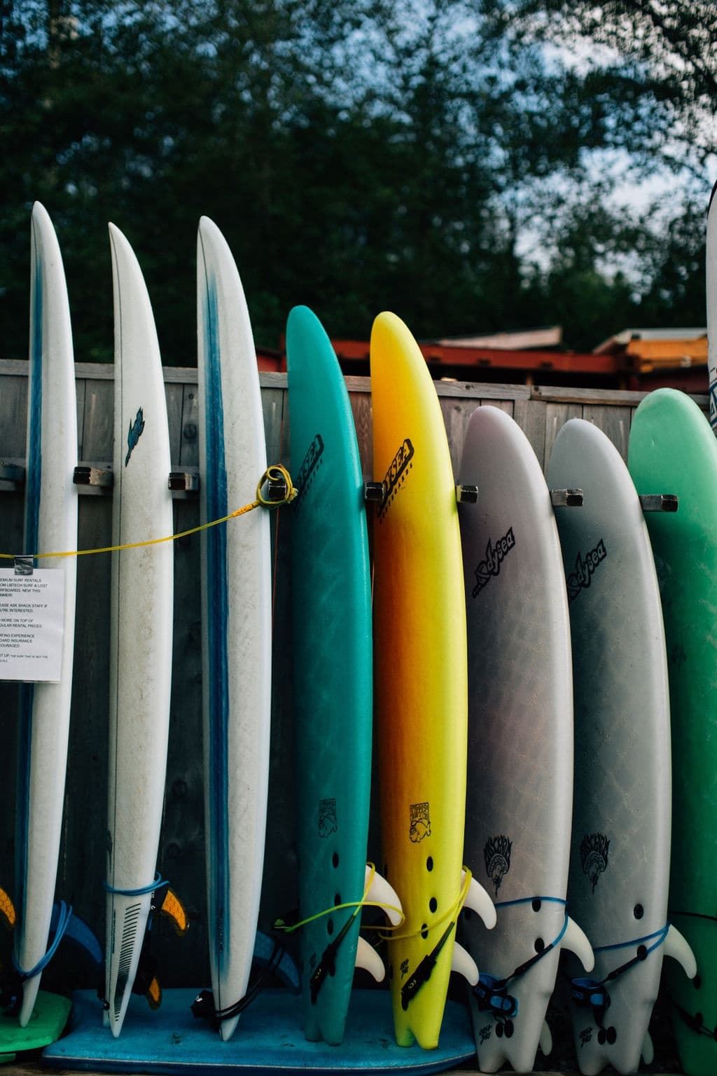 Surfing & Water-Activities at Surf Junction Surf School