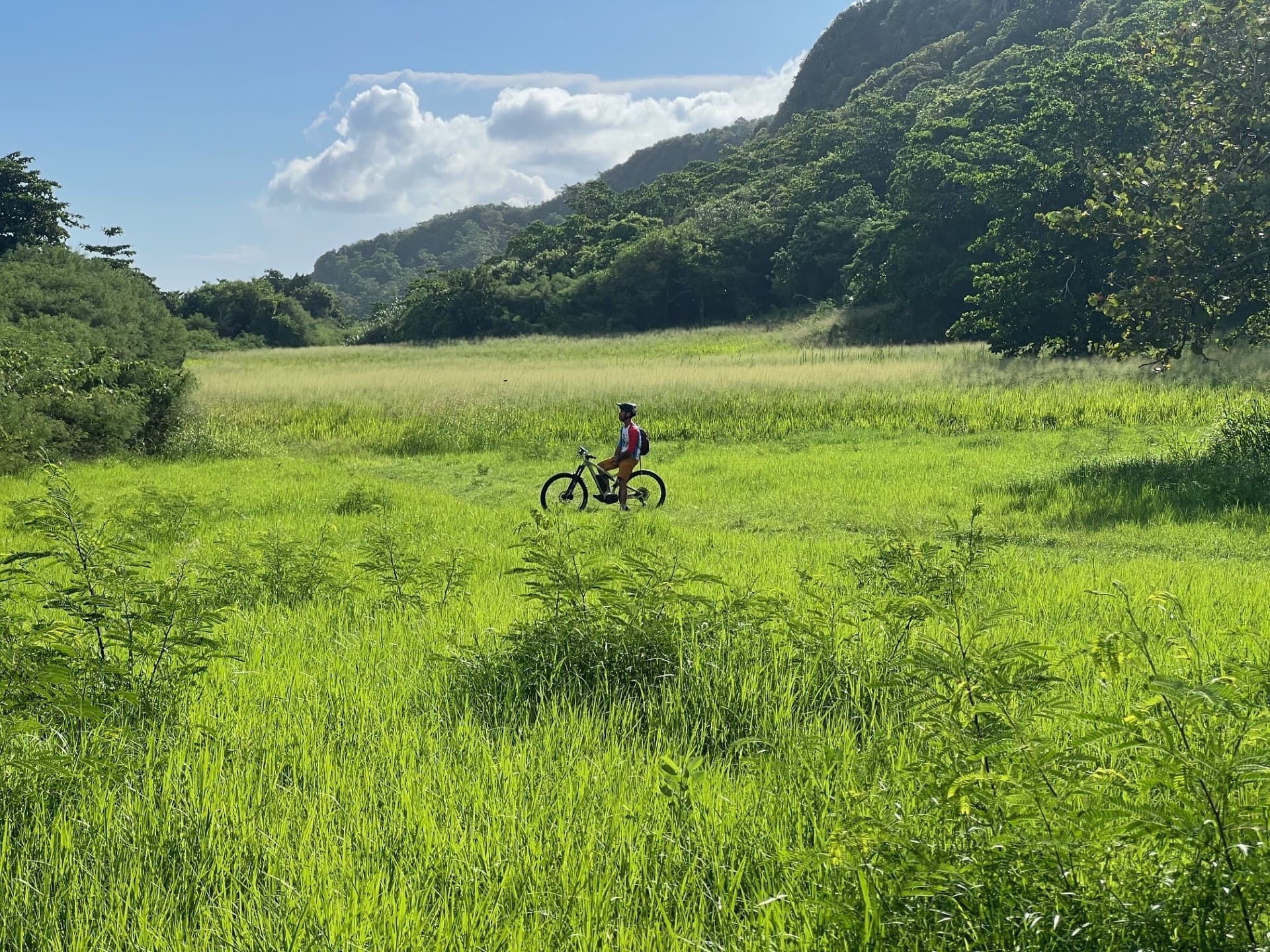 Land-Adventures at Royal Isabela: Coastal E-Bike Tour