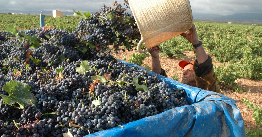 Wine Tasting Journey with Gastro Rutica 41 Spain in Zaragoza