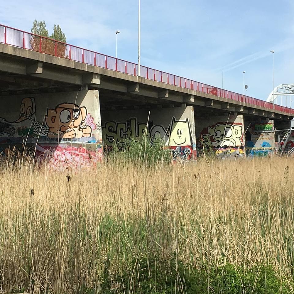 Graffiti murals under Amsterdam bridge with riverside reeds