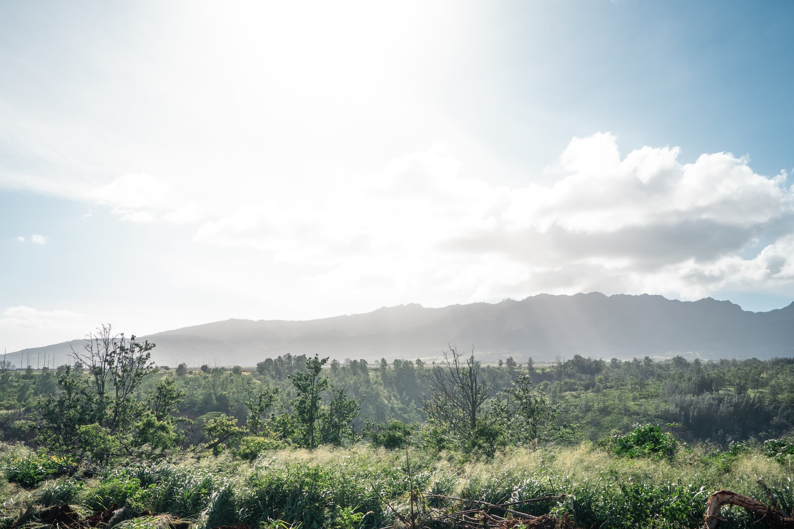 Sunrise over Mililani Estate cacao fields and distant mountain ridges