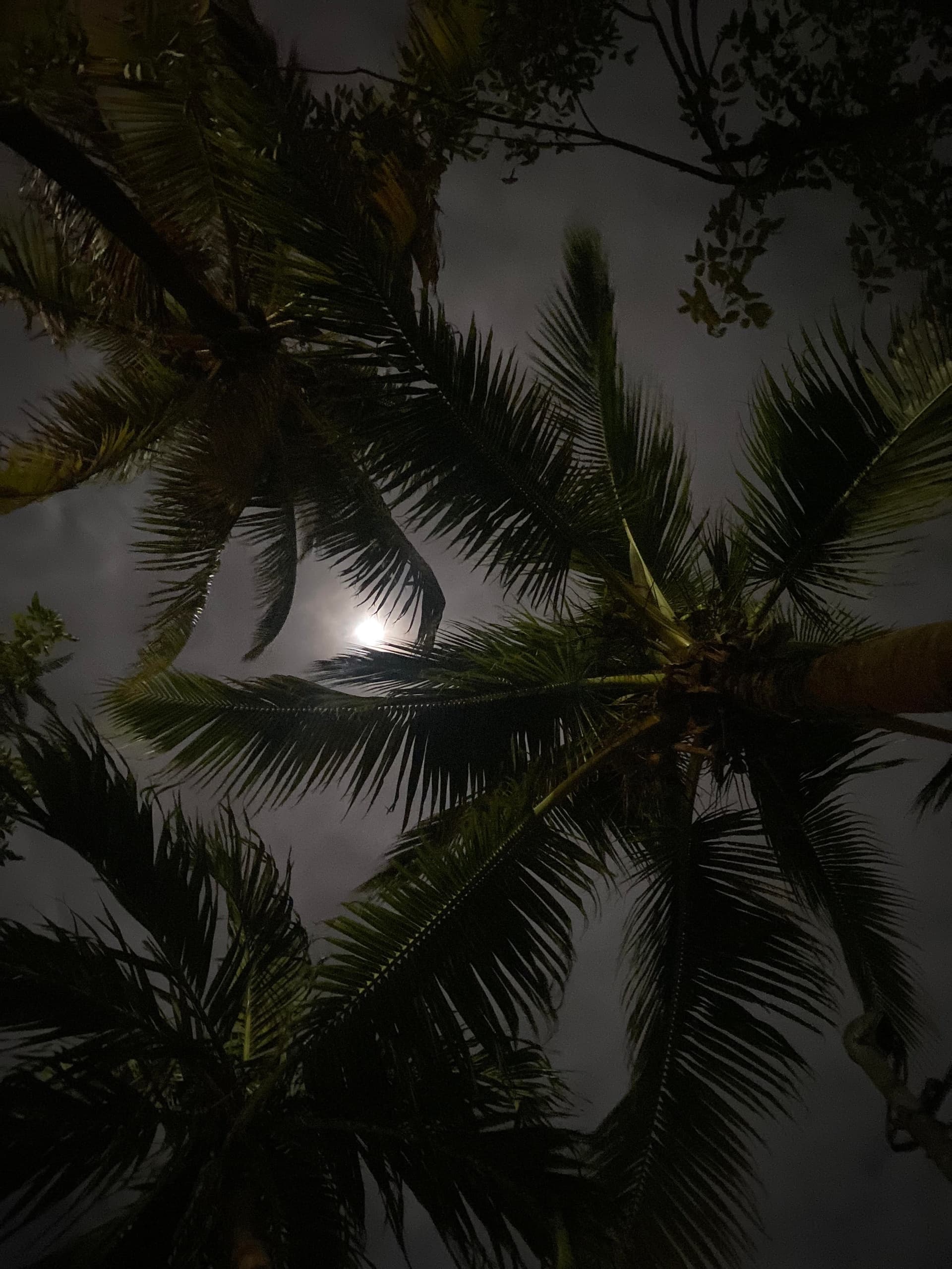 The Haunted History Ghost Hunt in Key West, Florida