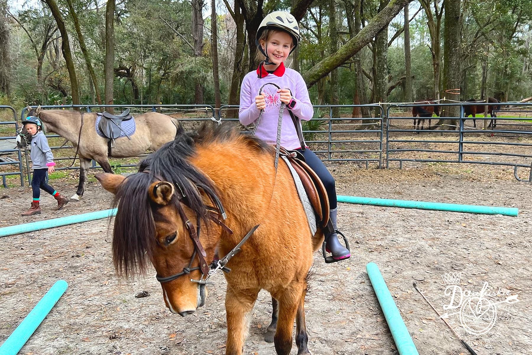 Horseback Riding Lessons at Daufuskie Marsh Tacky Society