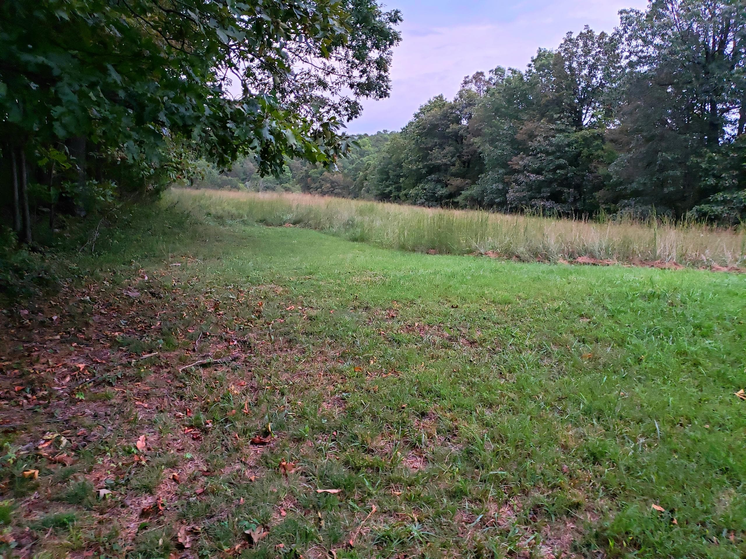 Primitive Camping at Cockatiel Camp C | Wilderness Rider Buffalo Ranch, Kingston AR