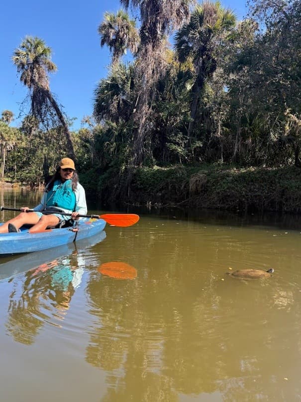 Paddle Turkey Creek: 90-Minute Kayak Tour with Manatees in Palm Bay photo 1