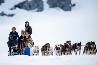 Helicopter Dogsledding on Herbert Glacier: Juneau's Ultimate Summer Glacier Adventure photo 4