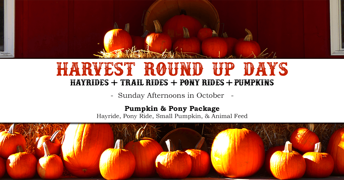 Experience Fall Fun at Marmon Valley Farm’s Harvest Round Up in Ohio