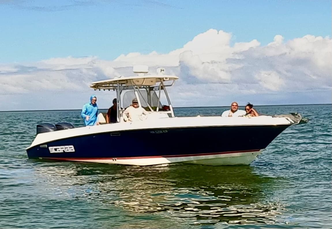 Tropical Reef & Wildlife Snorkel Adventure in Hilo, Hawaii