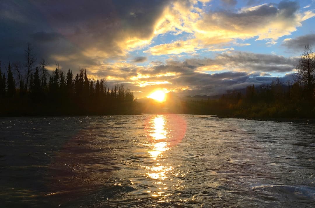 Midnight Sun Tour with Willow Creek Tours in Willow, Alaska
