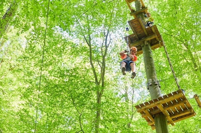 Wildlife & Nature Adventures at Abenteuer im Wald