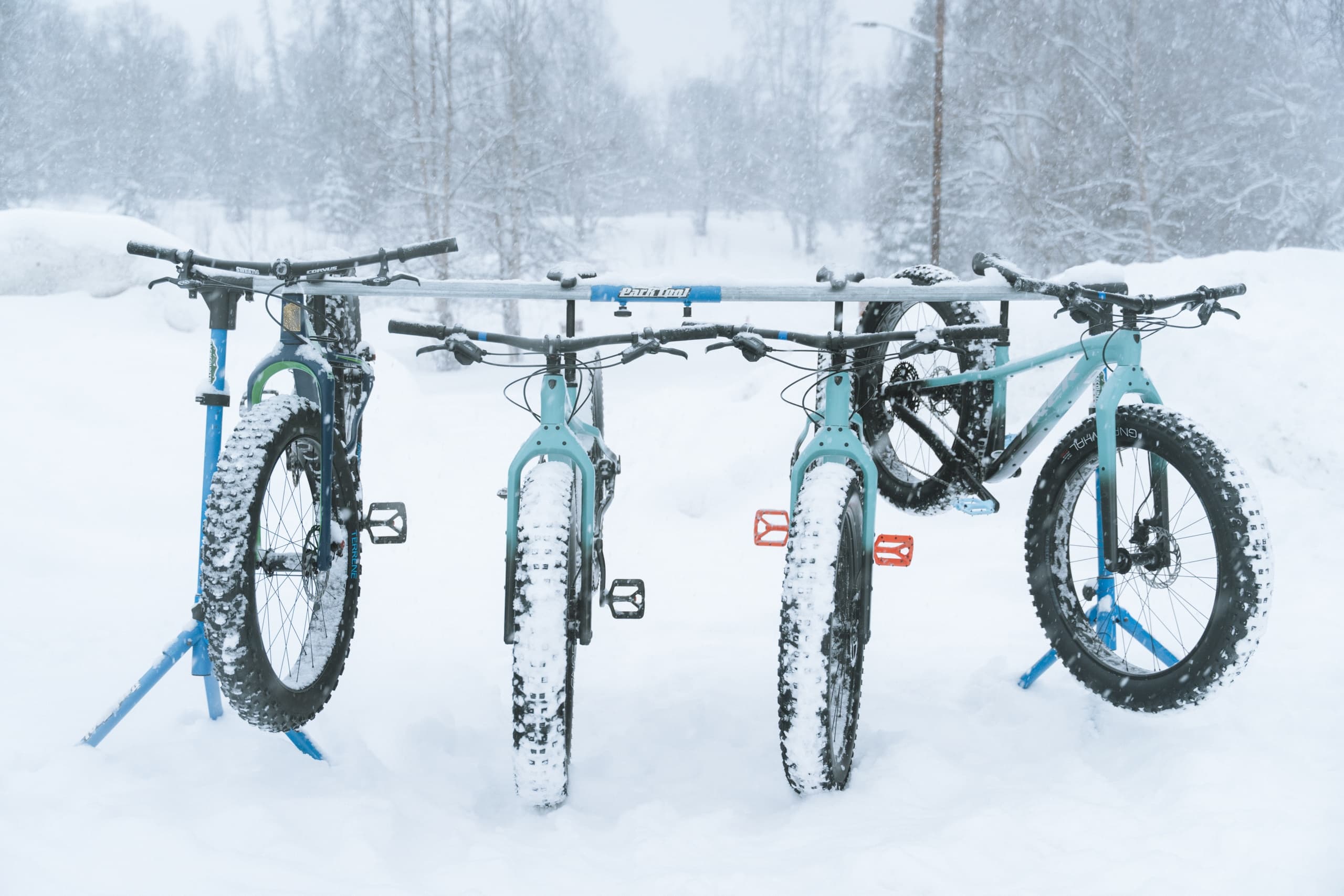 Fat‑Bike the Moose Range Trails: Winter Ride on Reflections Lake Loop photo 2