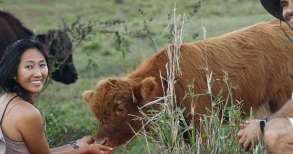 Hands-On Regenerative Farming on Kauaʻi: Baby Goats, Milking & Farm Tours in Kapaʻa