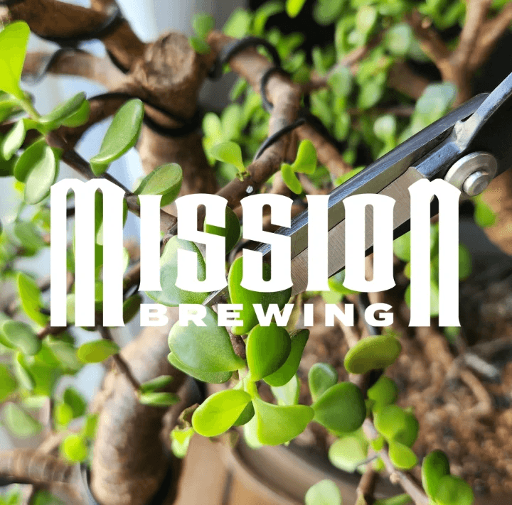 Tiny Trees and Craft Beer: Bonsai Bar Workshop at Mission Brewing, San Diego