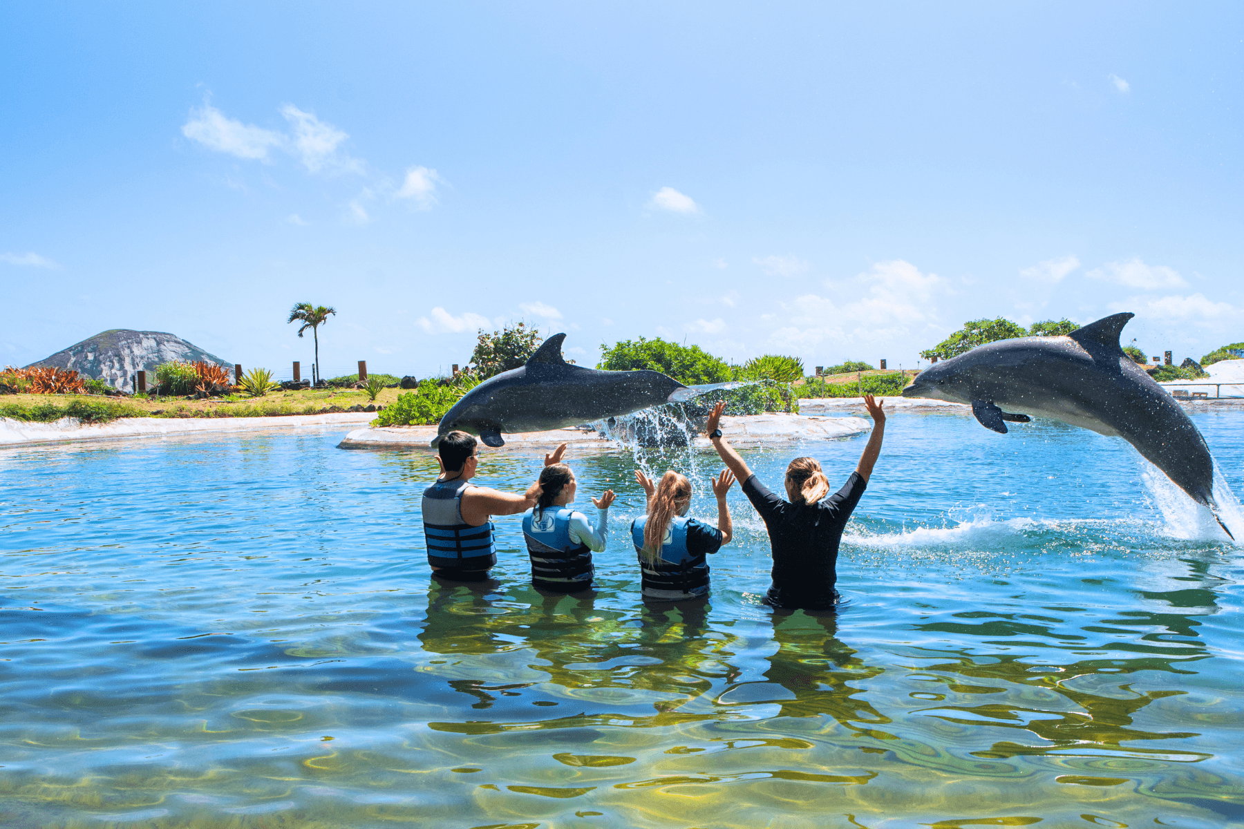 Dolphin trainers and visitors in lagoon at Sea Life Park Hawaii
