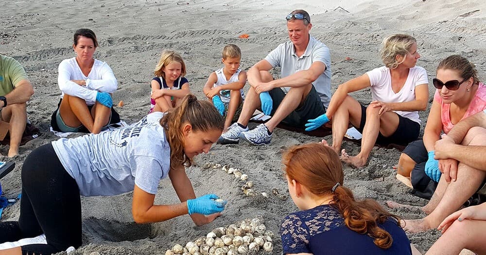 Sea Turtle Conservation on Juno Beach with Loggerhead Marinelife Center