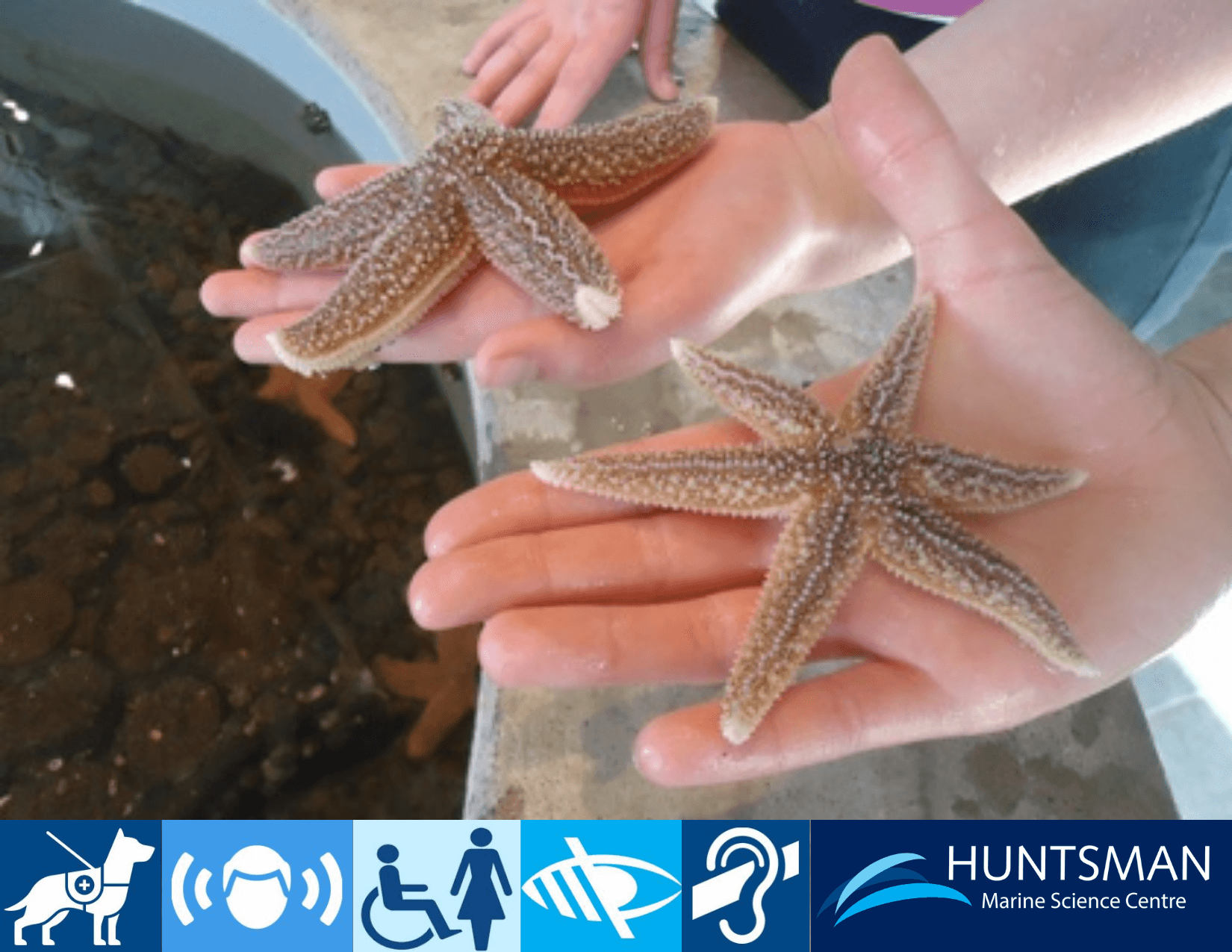 Marine Encounters at Huntsman Marine Science Centre