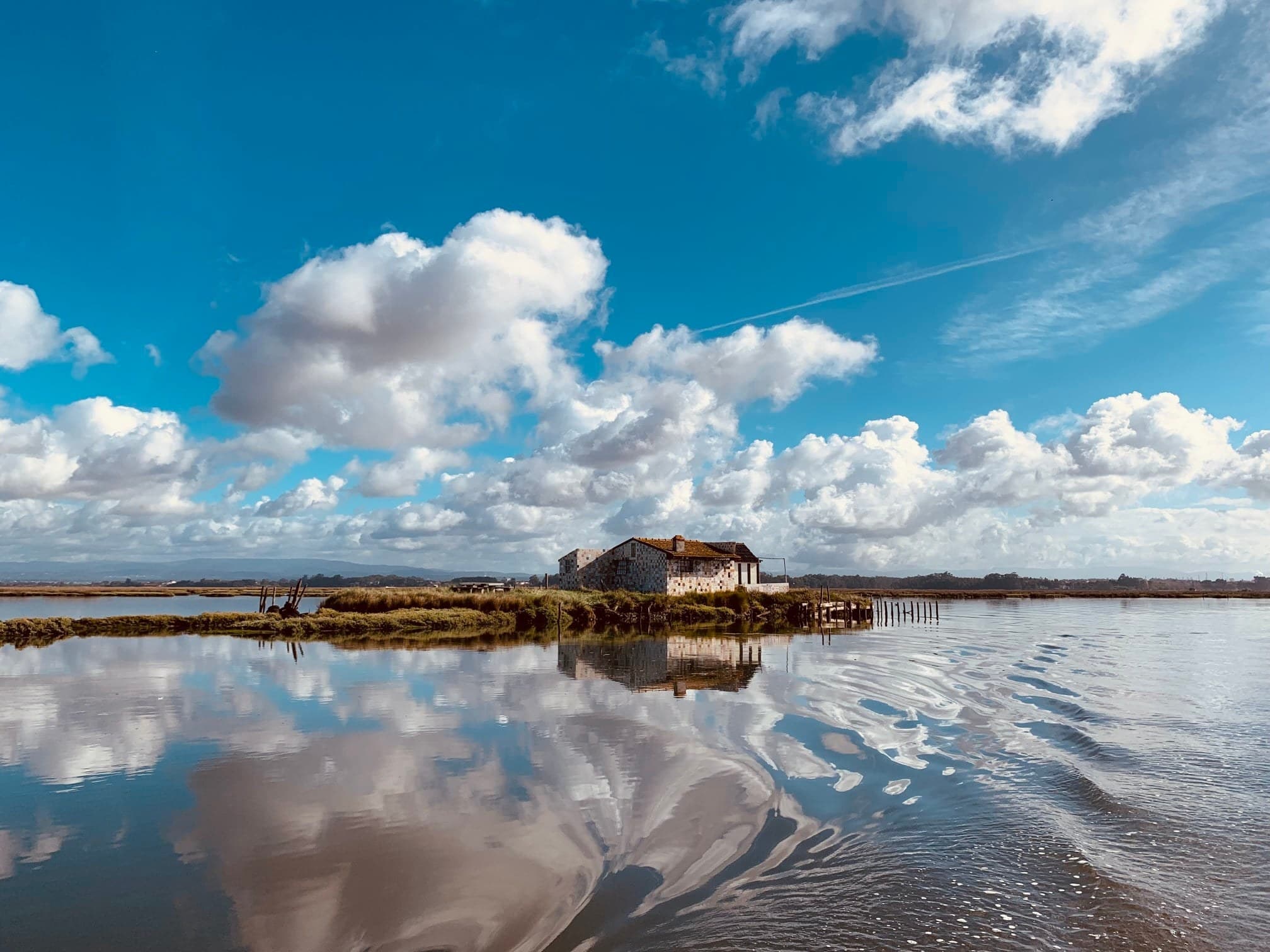 Water Activities & Sustainable Ria de Aveiro Tour with Sterna