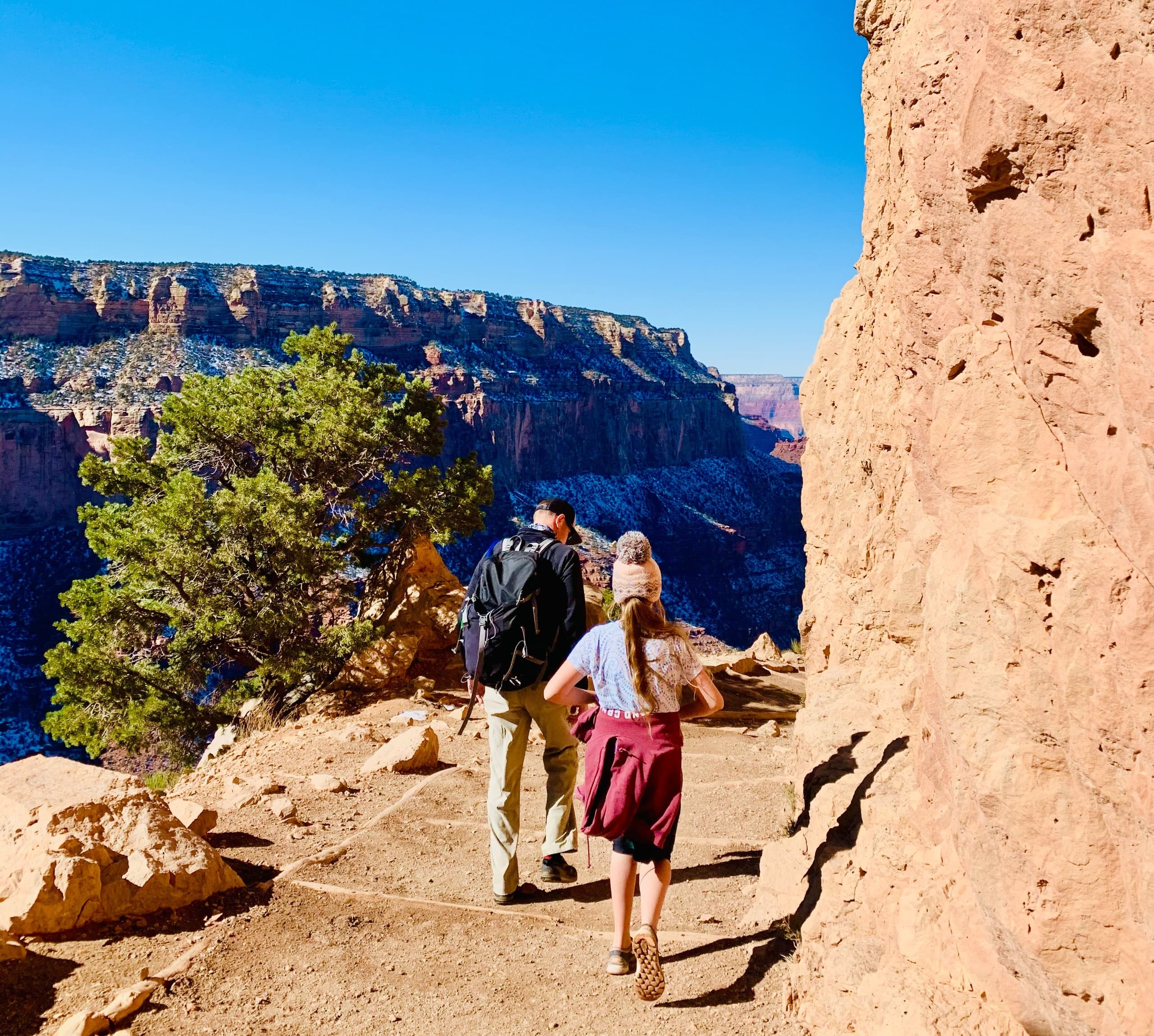 Descend to Cedar Ridge: Private Grand Canyon Guided Day Hike from Flagstaff photo 3