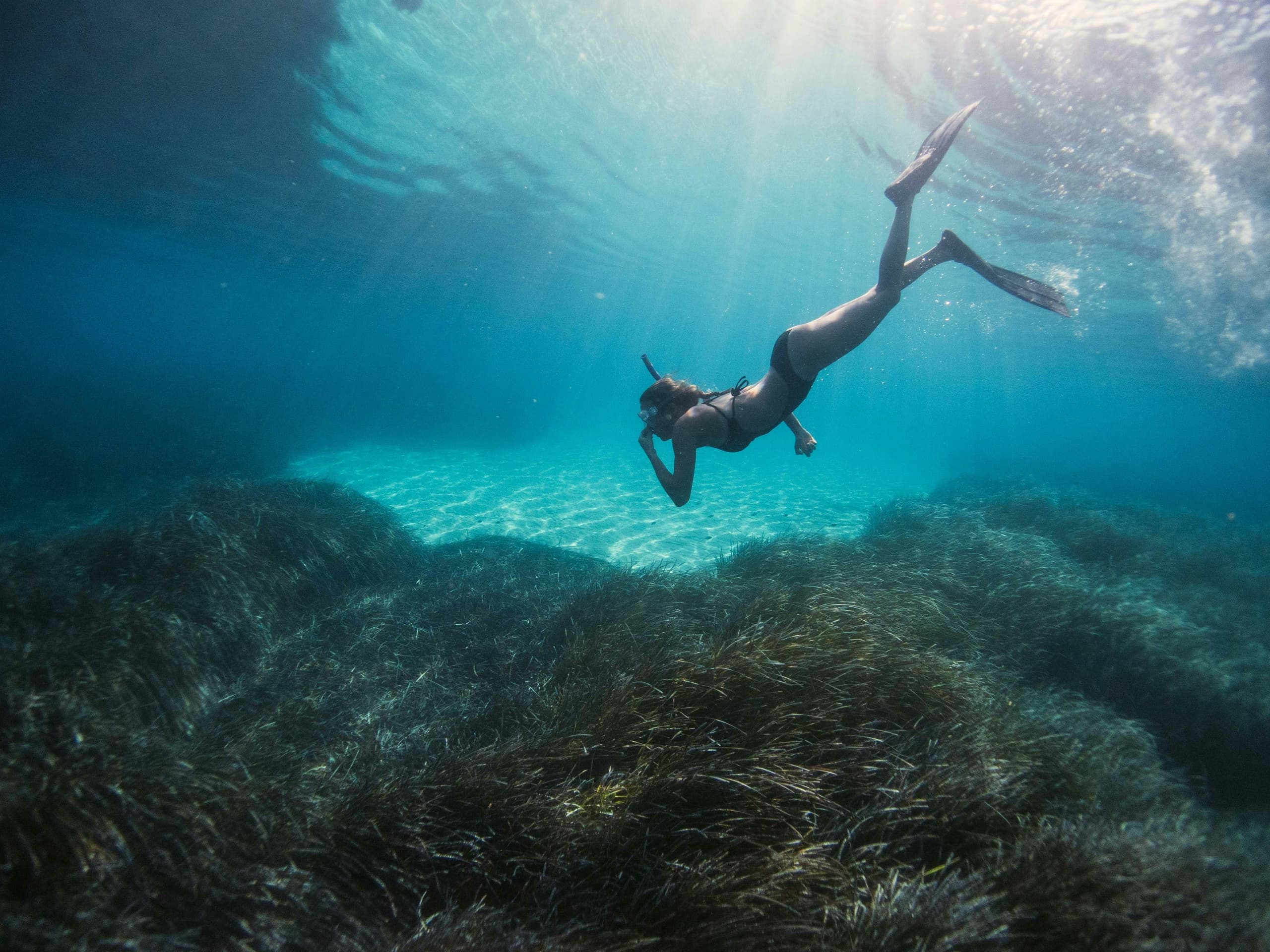 Freediver swimming over seagrass bed in clear tropical sea