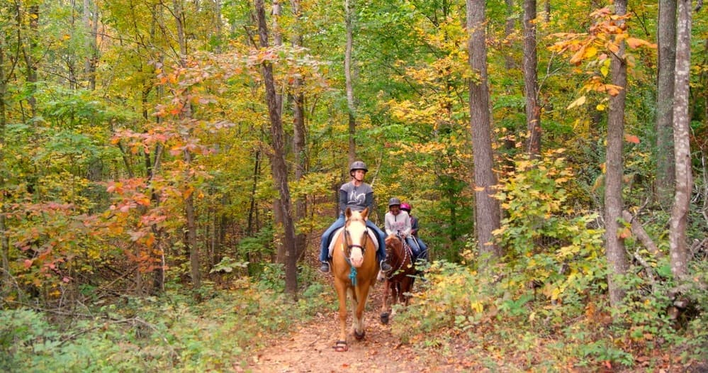 Land Adventures at Hidden Hills Farm & Saddle Club
