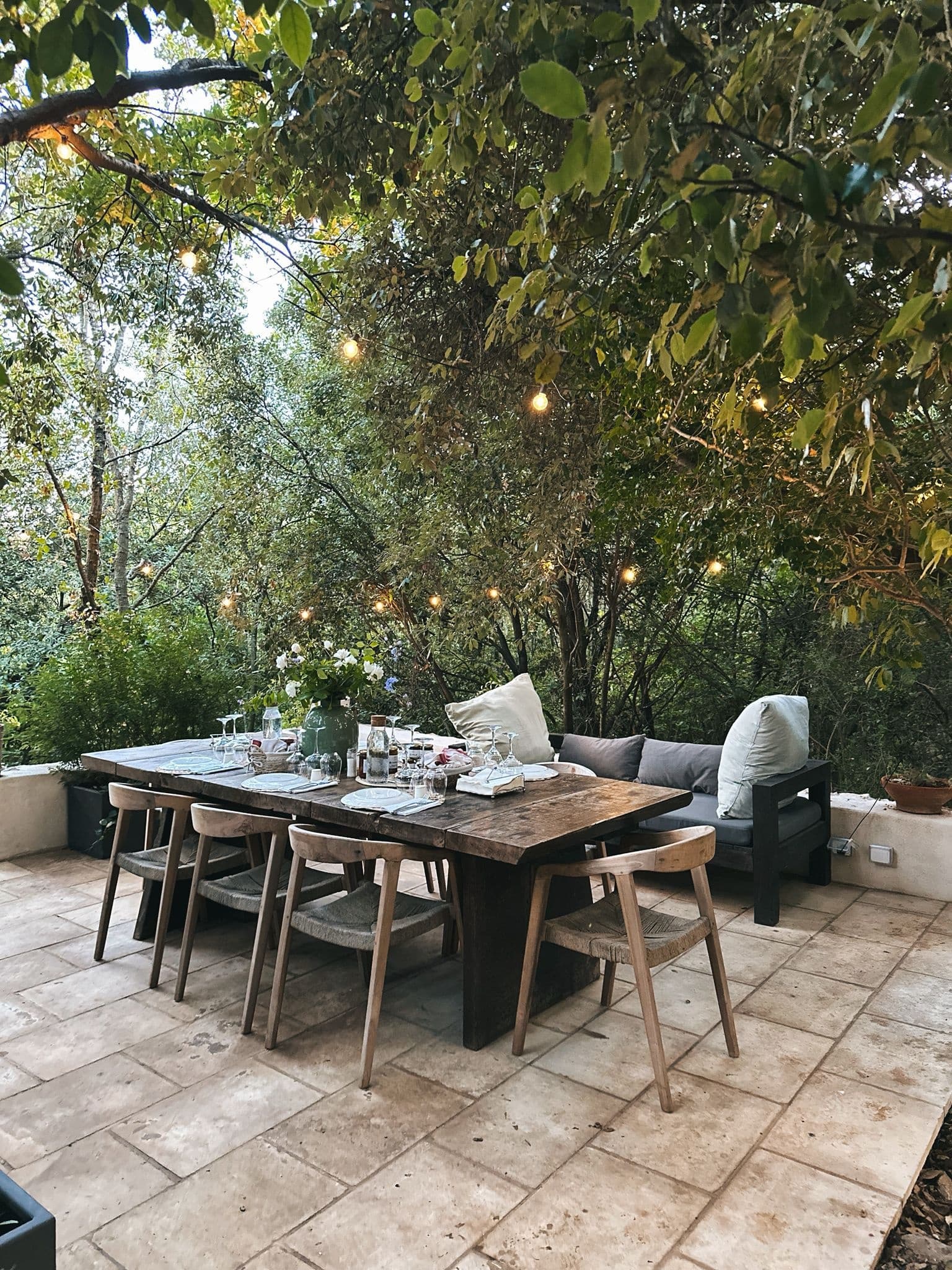 Polignano Farm Walk and Tasting — Puglia Vineyards, Olive Oil & Rustic Agriturismo photo 3
