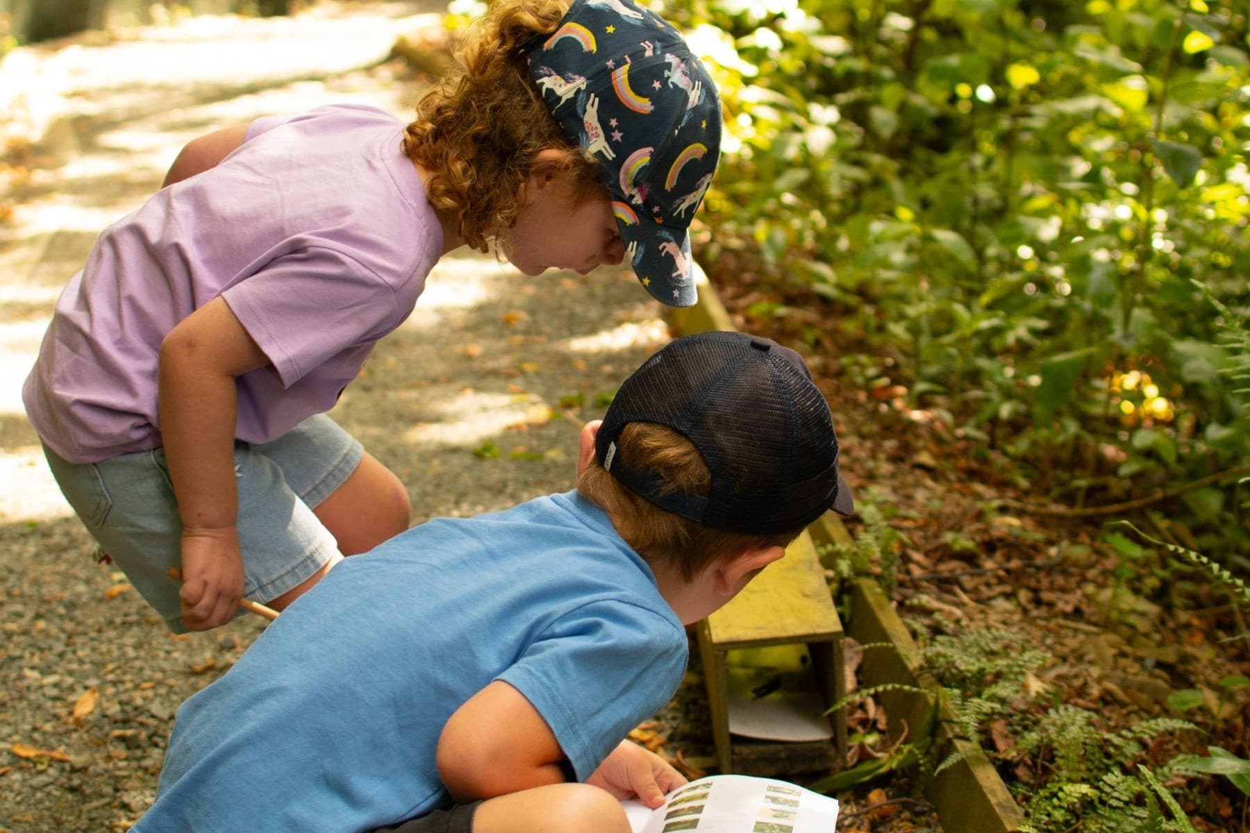 Junior Rangers at Brook Waimārama Sanctuary: Kids Conservation Adventures in Nelson photo 2