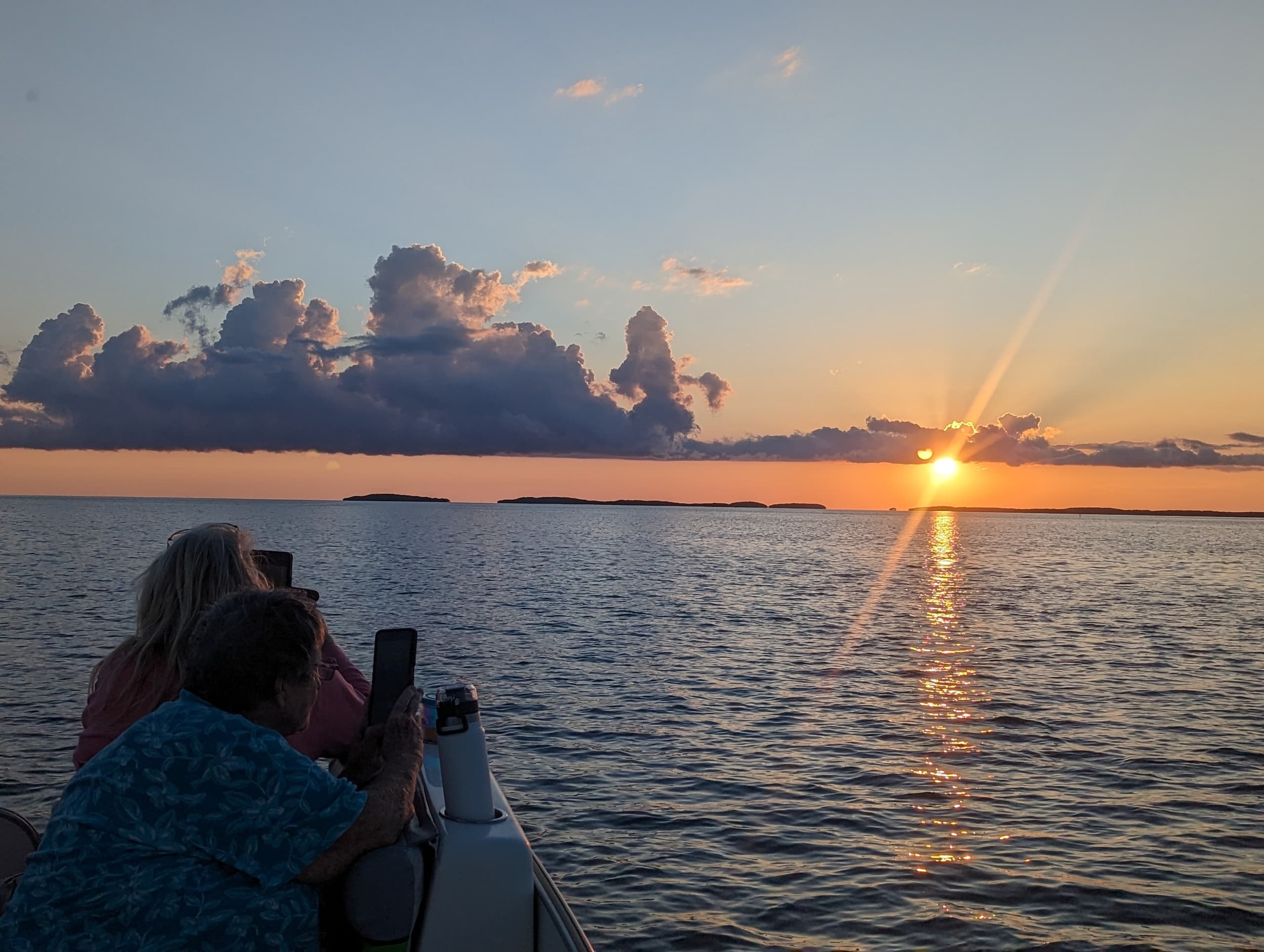 Sunset Dolphin Cruise with Nature Coast Eco Tours in Homosassa