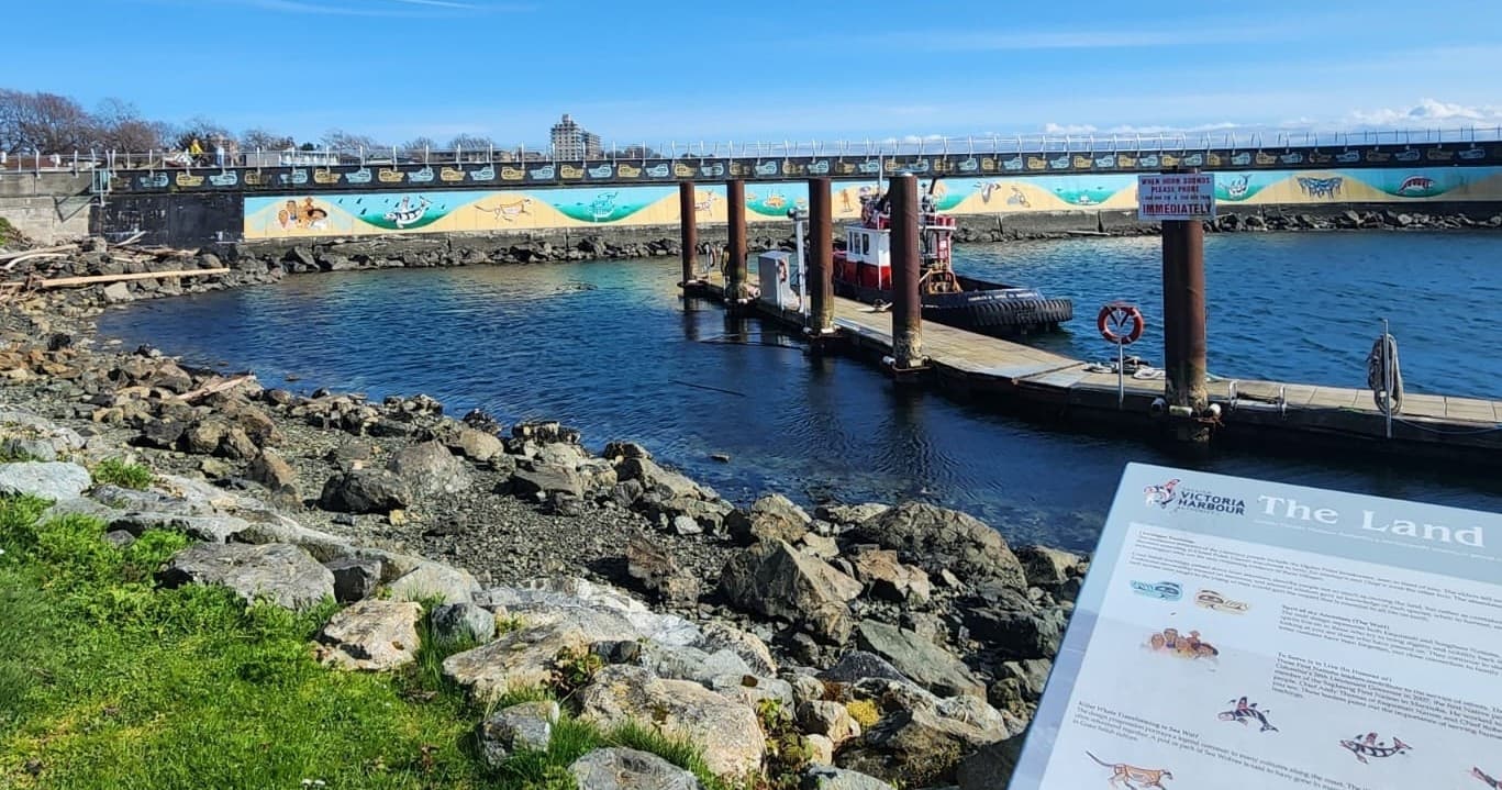 Breakwater Cultural Tour: Indigenous Stories and Shoreline Walks in Victoria