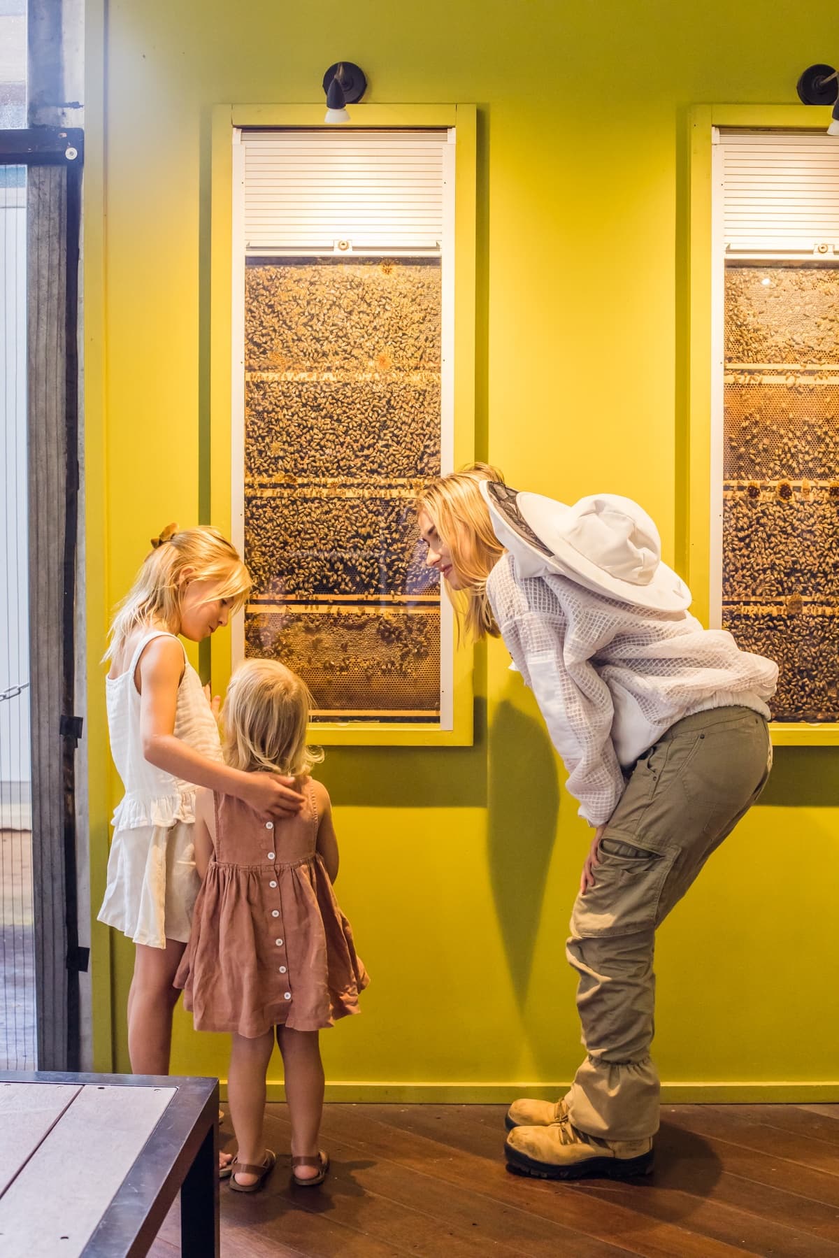 Live Bee Show & Honey Tasting at The Ginger Factory