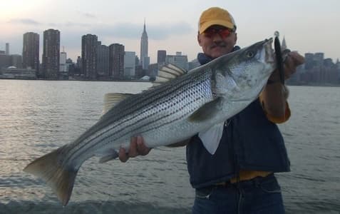 Harbor Hooks: Small-Group Fishing Around the Statue of Liberty