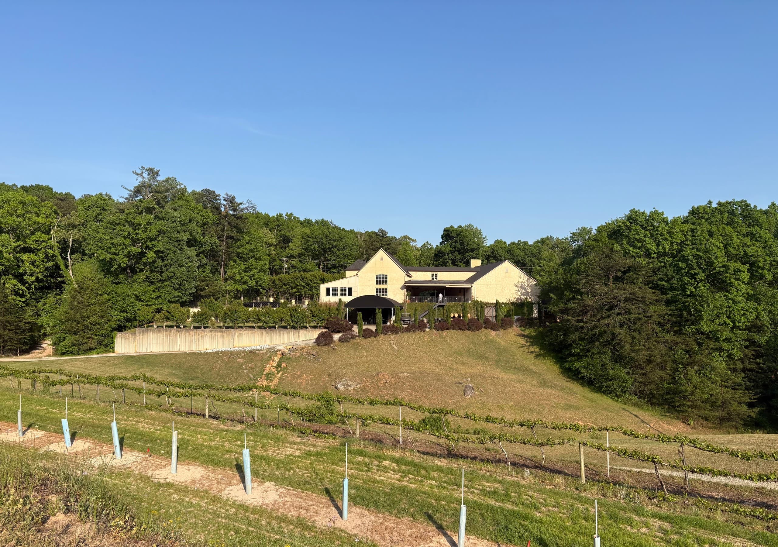 Vineyard Tour in Cleveland, South Carolina — 47-Acre Wine Walk photo 1