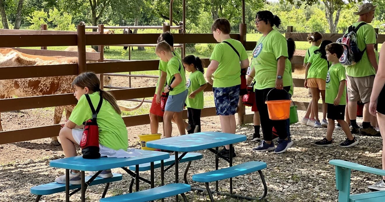 Summer ranch field trip with children visiting pens at turquoise acres